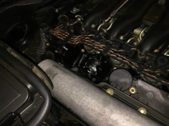 Der 4. seiner Art. - 5er BMW - E39