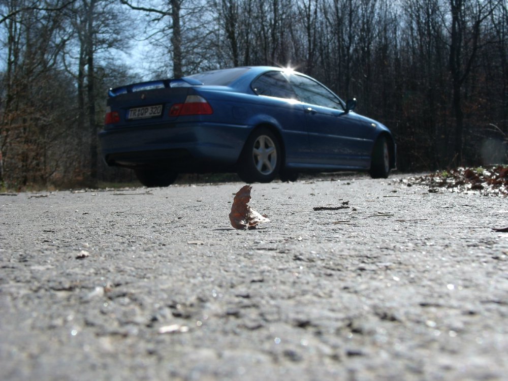 E46, 320i ///M Clubsport - 3er BMW - E46