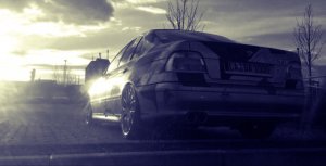 Dali's E39 - 5er BMW - E39