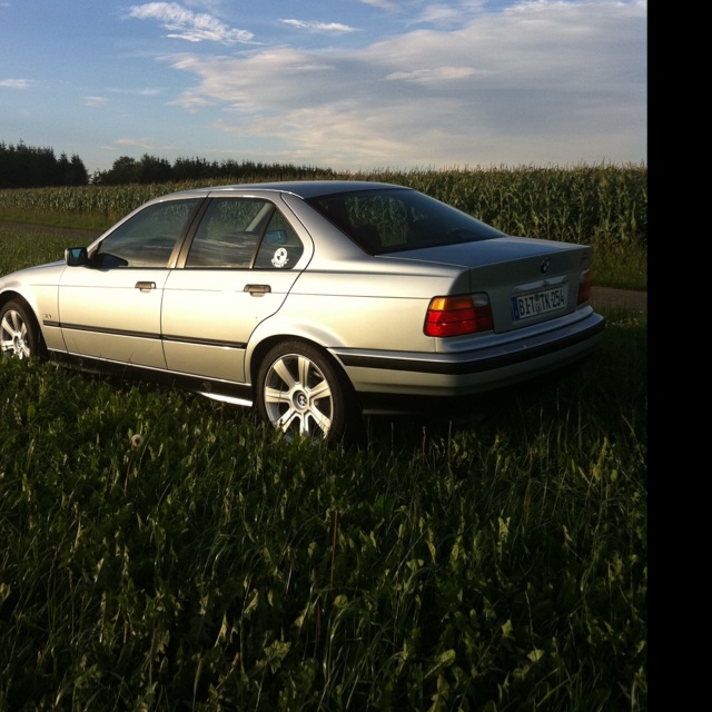 Mein Traum E36 - 3er BMW - E36