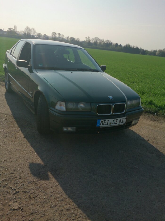 e36 316i mein alter - 3er BMW - E36