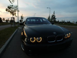 NEU MIT STORY e39 540i - mit 8 Freunden unterwegs - 5er BMW - E39