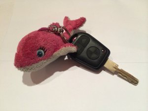 Zuma 323ti - 3er BMW - E36