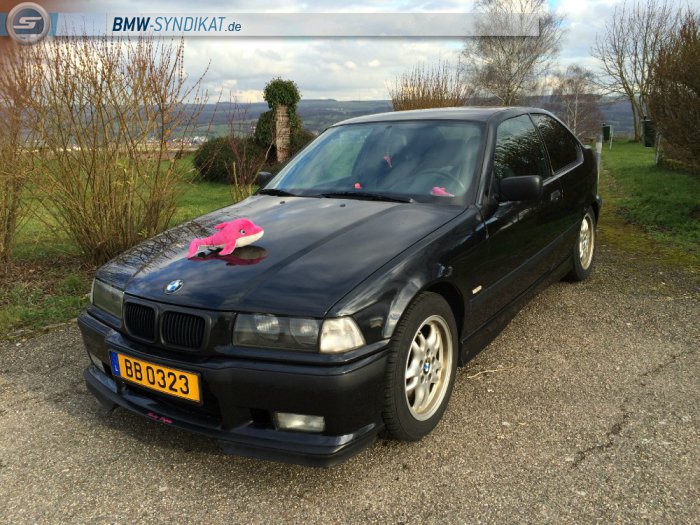 Zuma 323ti - 3er BMW - E36