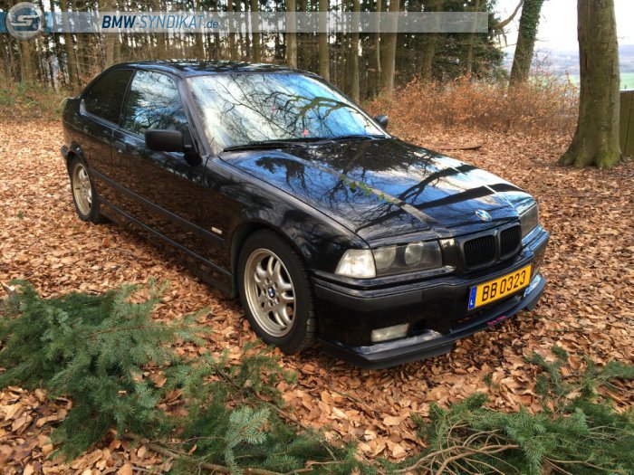 Zuma 323ti - 3er BMW - E36