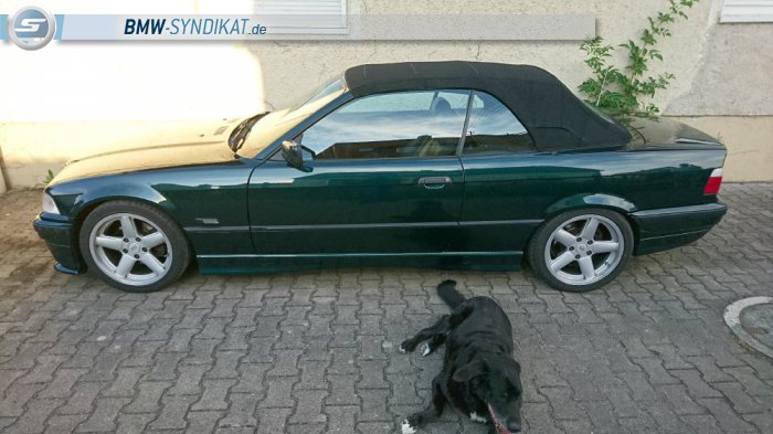 E36 325i Cabrio - 3er BMW - E36 E36 325i Cabrio - 3er BMW - E36
