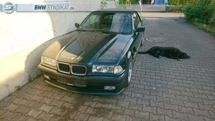 E36 325i Cabrio - 3er BMW - E36 E36 325i Cabrio - 3er BMW - E36
