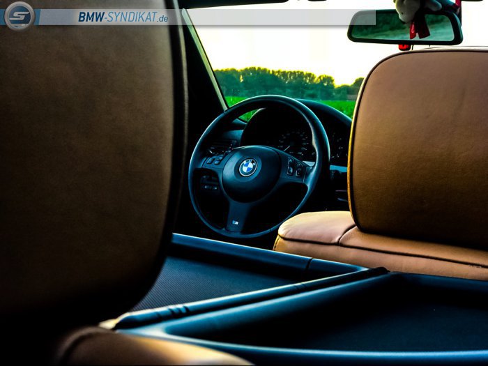 325ci Individual - 3er BMW - E46