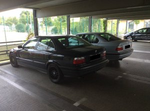 BMW E36 - 3er BMW - E36