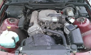 E36 316i Limousine Daily (EX) - 3er BMW - E36