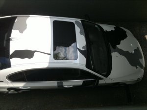 camouflag design - 5er BMW - E60 / E61