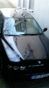 pittbul driver - 5er BMW - E39