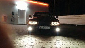 pittbul driver - 5er BMW - E39
