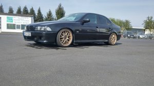 pittbul driver - 5er BMW - E39