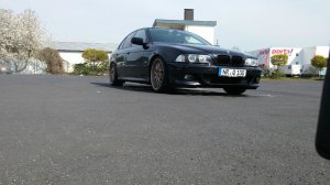 pittbul driver - 5er BMW - E39