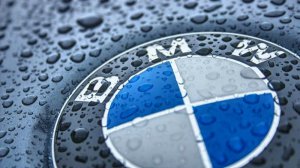 pittbul driver - 5er BMW - E39