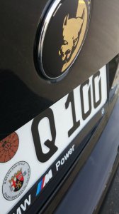 pittbul driver - 5er BMW - E39