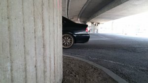 pittbul driver - 5er BMW - E39