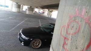 pittbul driver - 5er BMW - E39