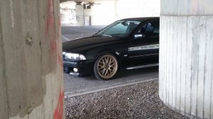 pittbul driver - 5er BMW - E39