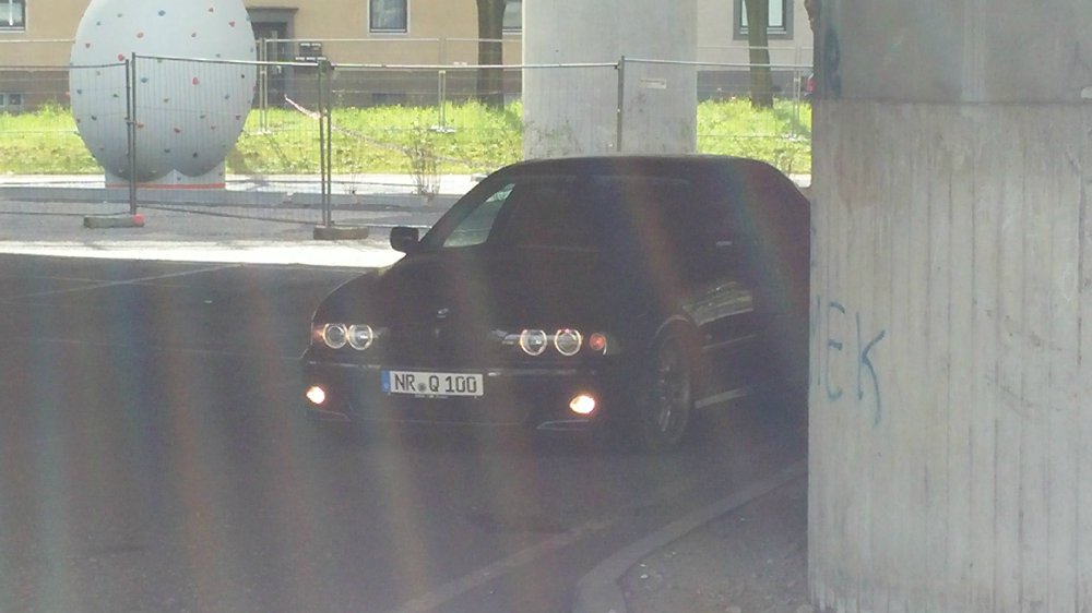 pittbul driver - 5er BMW - E39