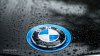 pittbul driver - 5er BMW - E39 - bmw-logo-21-HD-Image.jpg