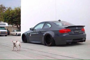 Black Bull - 3er BMW - E90 / E91 / E92 / E93