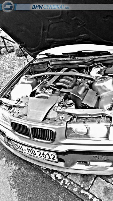 E36 323ti Compact 2k15 - 3er BMW - E36