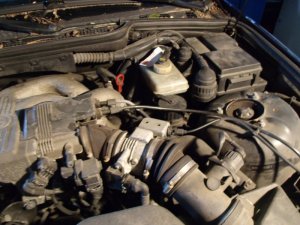 Mein E36 318 i(s) Ami - 3er BMW - E36 Mein E36 318 i(s) Ami - 3er BMW - E36