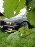 black pearl - 5er BMW - E39 - 20140529_171039.jpg