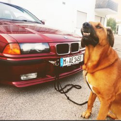 e36 320i Coup Calypsorot - 3er BMW - E36