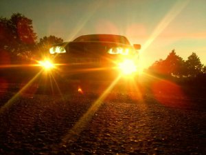 Mein Lieblingssorgenkind - 3er BMW - E46 Mein Lieblingssorgenkind - 3er BMW - E46