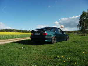 BMW E36 318i Bostongreen - 3er BMW - E36