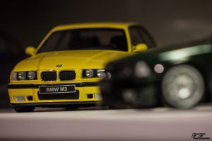 Meine Wohnzimmer-BMWs :) - sonstige Fotos