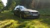 e91 sparkling - 3er BMW - E90 / E91 / E92 / E93 - image.jpg