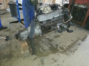 Restauration meines BMW E36 325 tds - 3er BMW - E36