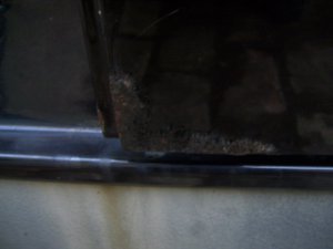 E36..the begining of a friendship - 3er BMW - E36 E36..the begining of a friendship - 3er BMW - E36