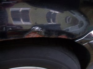 E36..the begining of a friendship - 3er BMW - E36 E36..the begining of a friendship - 3er BMW - E36