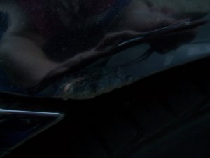 E36..the begining of a friendship - 3er BMW - E36 E36..the begining of a friendship - 3er BMW - E36