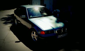 E36 Compact (316i) in Moreagrün, Klein aber Fein - 3er BMW - E36 E36 Compact (316i) in Moreagrün, Klein aber Fein - 3er BMW - E36