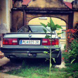 E30 325iX - 3er BMW - E30 E30 325iX - 3er BMW - E30
