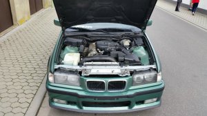 Mein neuer Compact - 3er BMW - E36