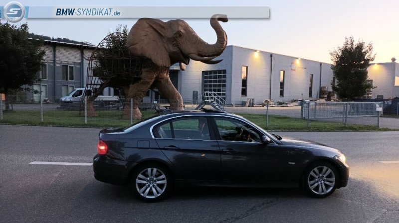 BMW-Syndikat Fotostorie