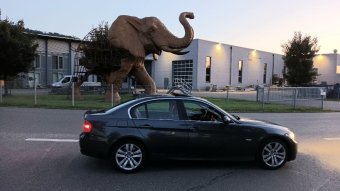E90 330i N52B30 Limousine - 3er BMW - E90 / E91 / E92 / E93