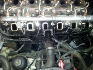 Mein "Schiffsdiesel" ;-) - 3er BMW - E46