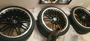 318ti M Paket und Effektlack - 3er BMW - E46