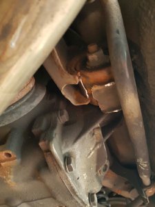 Blue Bullitt - 3er BMW - E46 Blue Bullitt - 3er BMW - E46