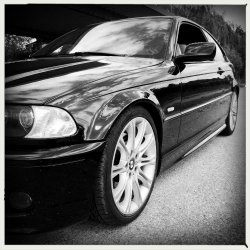 E46 330Ci SMG Clubsport - 3er BMW - E46