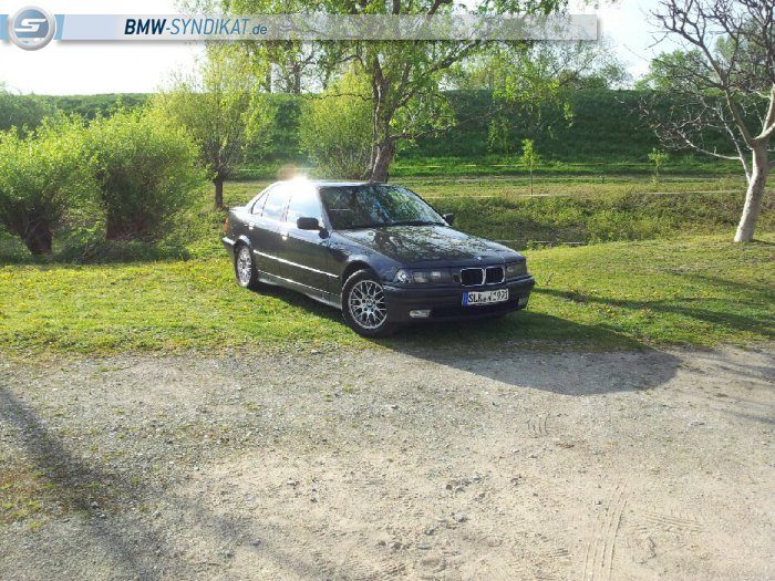 BMW 316i e36 - 3er BMW - E36
