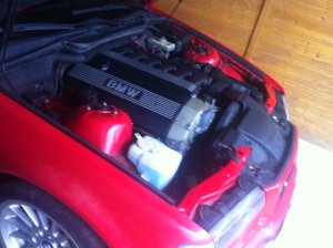 E36 328i brilliantrot - 3er BMW - E36